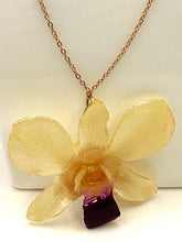 Load image into Gallery viewer, Orchid Dendrobium Real Flower Necklace White