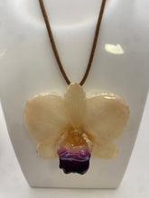 Load image into Gallery viewer, White Orchid Dendrobium Real R1 Flower_Den R1 White