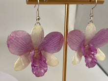 Load image into Gallery viewer, Real Flower Orchid Petal Earrings – Vibrant Pink White Round Flower Botanical Jewelry