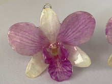 Load image into Gallery viewer, Real Flower Orchid Petal Earrings – Vibrant Pink White Round Flower Botanical Jewelry