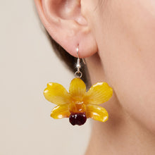 Load image into Gallery viewer, Real Flower Orchid Petal Earrings – Vibrant Yellow Round Flower Botanical Jewelry