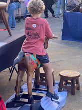 Load image into Gallery viewer, Rocking horse handmade solid wood-beautiful hand painted detail-very unique