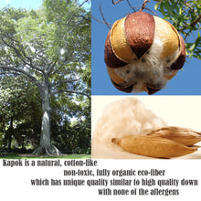 Load image into Gallery viewer, Three Fold Thai Cushion