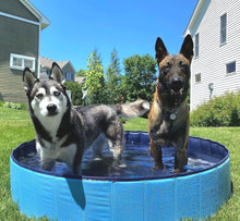 Load image into Gallery viewer, 39.5*12in Foldable Dog Pet Bath Pool Collapsible Dog Pet Pool Bathing Tub Teen Pool Doggie Wading Pool for Puppy Small Medium Large Dogs Cats and Teen - Blue - Size 39.5*12in