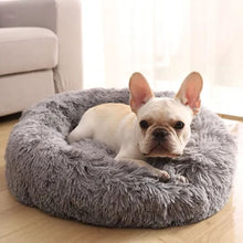 Load image into Gallery viewer, Pet Bed 80cm(light Grey colour 8)
