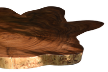 Load image into Gallery viewer, Large exquisite Saur Wood Round Coffee Table, large circumference 118 cm x 112 cm x 9 cm one of kind 100% unique designed by nature
