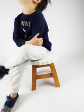 Load image into Gallery viewer, Kids Chair Wooden Stool Animal BUTTERFLY Theme Children’s Chair and Toddlers Stepping Stool