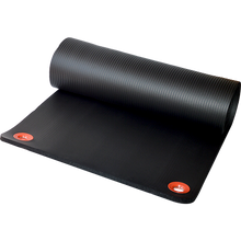 Load image into Gallery viewer, Eyelet Hanging Exercise Mat