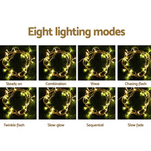 Load image into Gallery viewer, 100M 500 LED Christmas String Lights Warm White