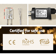 Load image into Gallery viewer, 100M 500 LED Christmas String Lights Warm White