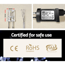 Load image into Gallery viewer, 100M Christmas String Lights 500LED Party Wedding Outdoor Garden