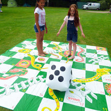 Load image into Gallery viewer, Giant Snakes and Ladders family games