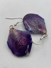 Load image into Gallery viewer, Real Flower Orchid Petal Earrings – Vibrant Round Blue Flower Botanical Jewelry Miscellaneous
