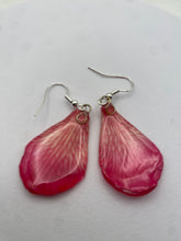 Load image into Gallery viewer, Real Flower Orchid Petal Earrings – Vibrant Red/Cream Flower Botanical Jewelry
