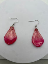 Load image into Gallery viewer, Real Flower Orchid Petal Earrings – Vibrant Red/Cream Flower Botanical Jewelry
