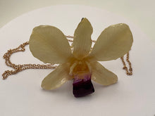 Load image into Gallery viewer, Orchid Dendrobium Real Flower Necklace White
