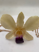 Load image into Gallery viewer, Orchid Dendrobium Real Flower Necklace White
