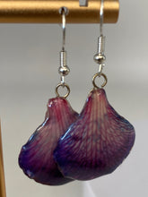 Load image into Gallery viewer, Real Flower Orchid Petal Earrings – Vibrant Purple Flower Botanical Jewelry
