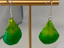 Load image into Gallery viewer, Real Flower Orchid Petal Earrings – Vibrant Green Resin Botanical
