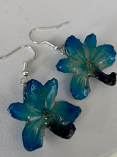 Load image into Gallery viewer, Real Flower Orchid Petal Earrings – Vibrant Round Blue Flower Botanical Jewelry Miscellaneous

