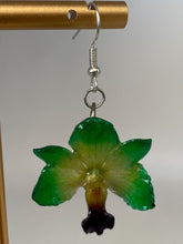 Load image into Gallery viewer, Real Flower Orchid Petal Earrings – Vibrant Green Round Flower Botanical Jewelry
