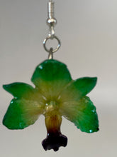 Load image into Gallery viewer, Real Flower Orchid Petal Earrings – Vibrant Green Round Flower Botanical Jewelry
