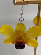 Load image into Gallery viewer, Real Flower Orchid Petal Earrings – Vibrant Yellow Round Flower Botanical Jewelry
