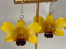 Load image into Gallery viewer, Real Flower Orchid Petal Earrings – Vibrant Yellow Round Flower Botanical Jewelry
