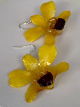 Load image into Gallery viewer, Real Flower Orchid Petal Earrings – Vibrant Yellow Round Flower Botanical Jewelry
