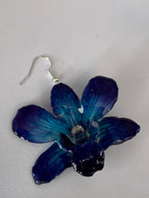 Load image into Gallery viewer, Real Flower Orchid Petal Earrings – Vibrant Round Blue Flower Botanical Jewelry Miscellaneous
