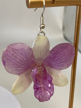 Load image into Gallery viewer, Real Flower Orchid Petal Earrings – Vibrant Pink White Round Flower Botanical Jewelry
