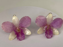 Load image into Gallery viewer, Real Flower Orchid Petal Earrings – Vibrant Pink White Round Flower Botanical Jewelry
