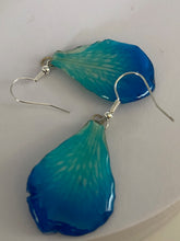 Load image into Gallery viewer, Real Flower Orchid Petal Earrings – Vibrant Round Blue Flower Botanical Jewelry Miscellaneous
