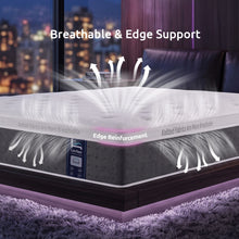 Load image into Gallery viewer, Levitex Single Mattress Lumbar Support 5-Zone Individual Pocket Spring 30CM

