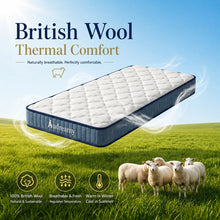 Load image into Gallery viewer, Audreamy Kaveno Kids Mattress Cool Gel Single

