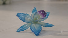 Load and play video in Gallery viewer, Blue  Orchid Dendrobium Real Flower Necklace
