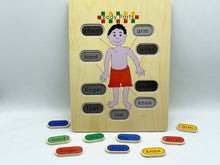 Load image into Gallery viewer, Wooden body parts puzzle - A4 30cm size
