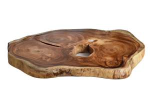 Large exquisite Saur Wood Round Coffee Table, large circumference 118 cm x 112 cm x 9 cm one of kind 100% unique designed  by nature