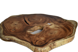 Large exquisite Saur Wood Round Coffee Table, large circumference 118 cm x 112 cm x 9 cm one of kind 100% unique designed  by nature