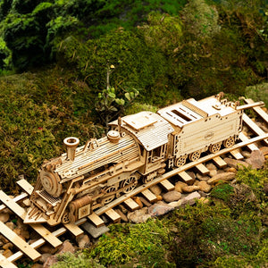 Model  3D Wooden TRAIN  1:80 scale model Building Kits for Children, Adults from 8 to 99 years