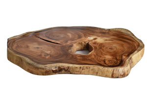 Large exquisite Saur Wood Round Coffee Table, large circumference 118 cm x 112 cm x 9 cm one of kind 100% unique designed  by nature