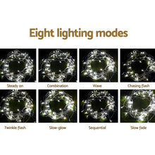 Load image into Gallery viewer, 100M Christmas String Lights 500LED Party Wedding Outdoor Garden
